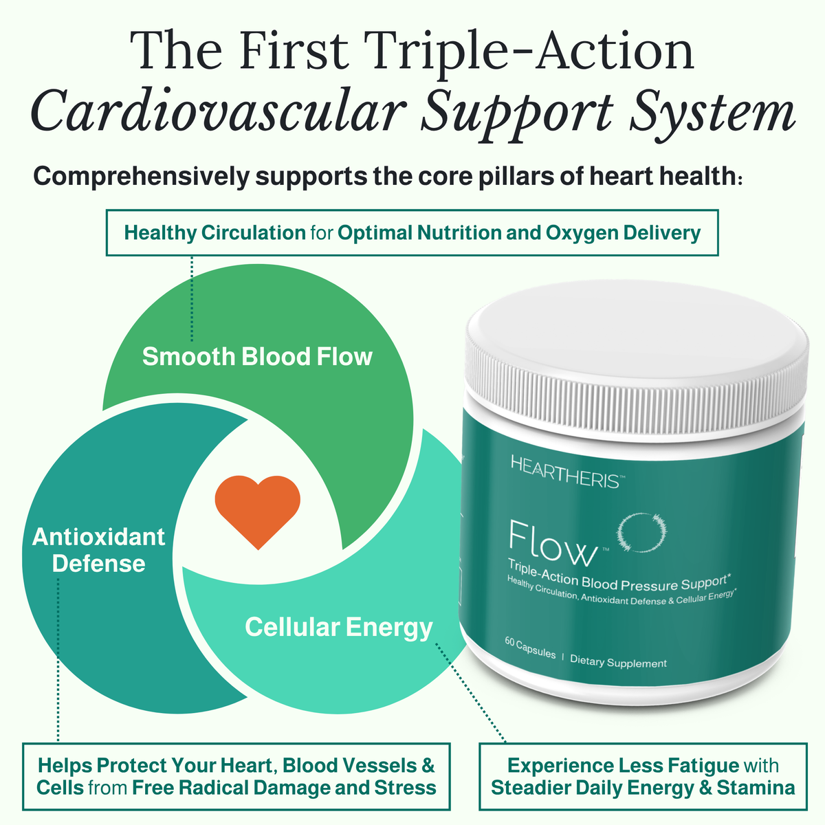 Heartheris Flow™ supplement: The First Triple-Action Cardiovascular Support System. Comprehensively supports the core pillars of heart health: Healthy Circulation, Antioxidant Defense & Cellular Energy