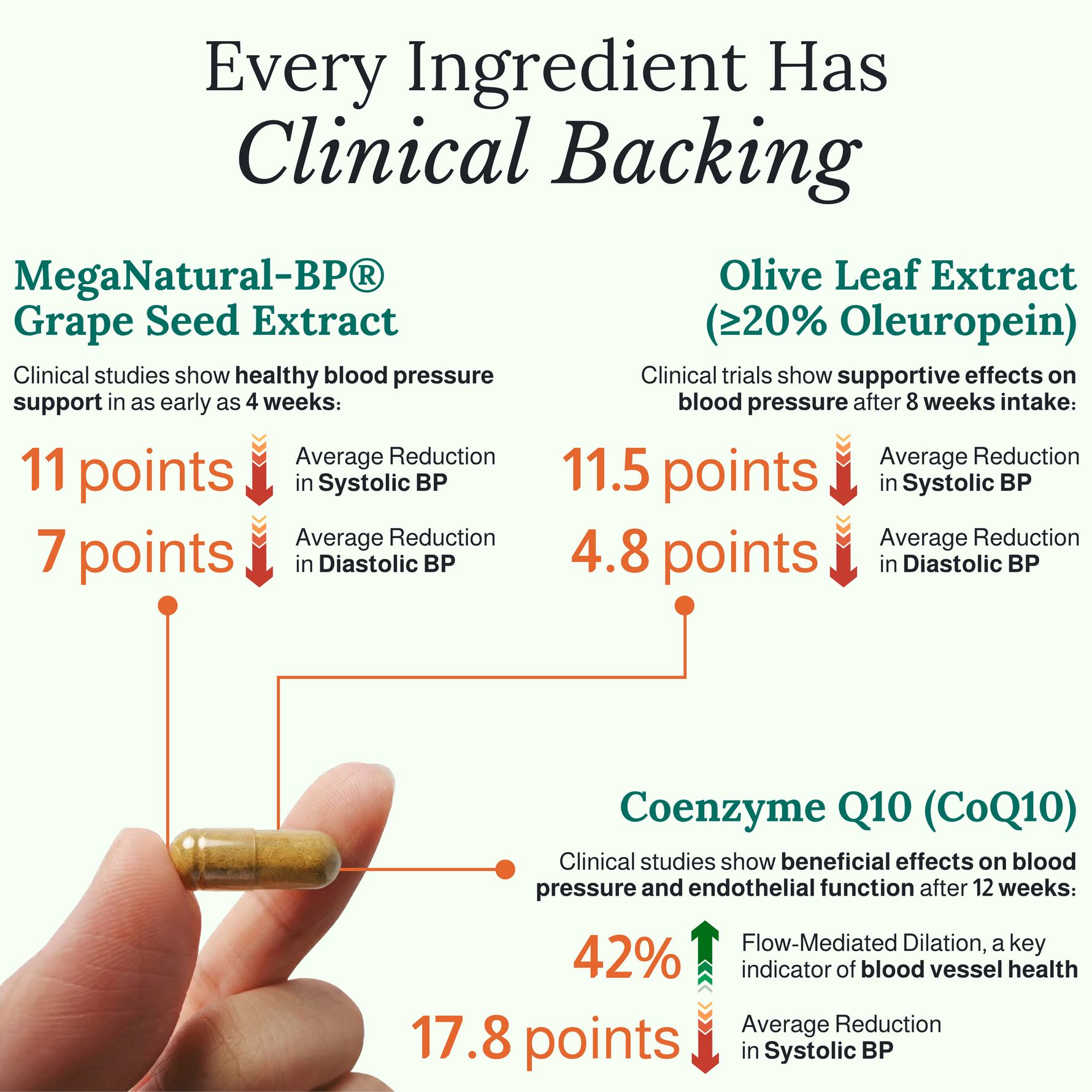 Infographic detailing the clinical benefits of MegaNatural-BP® Grape Seed Extract, Olive Leaf Extract, and Coenzyme Q10, ingredients in Heartheris Flow™ supplement for healthy blood pressure support