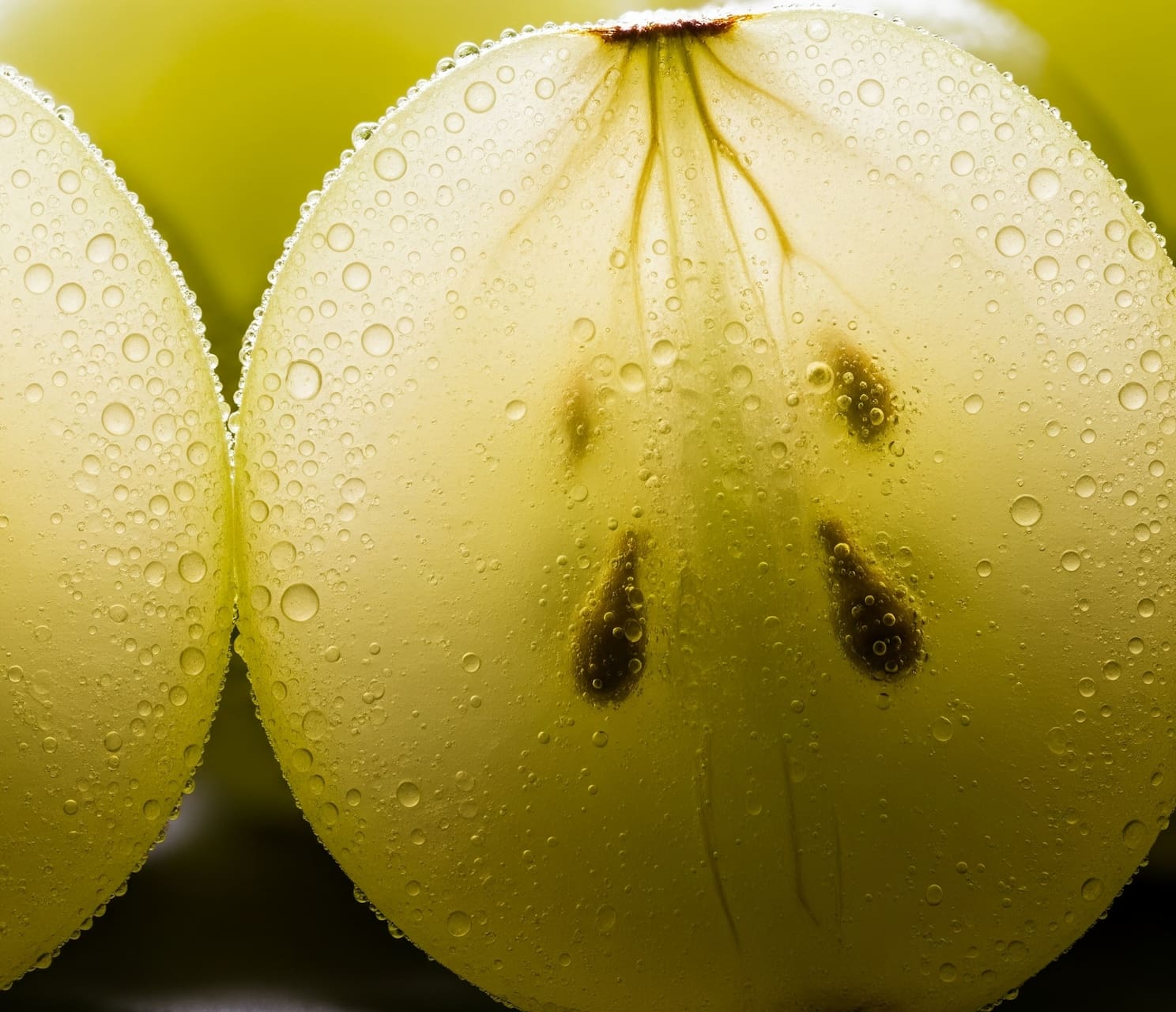 Close-up of a white wine-grapes with their seeds, coated by clear droplets