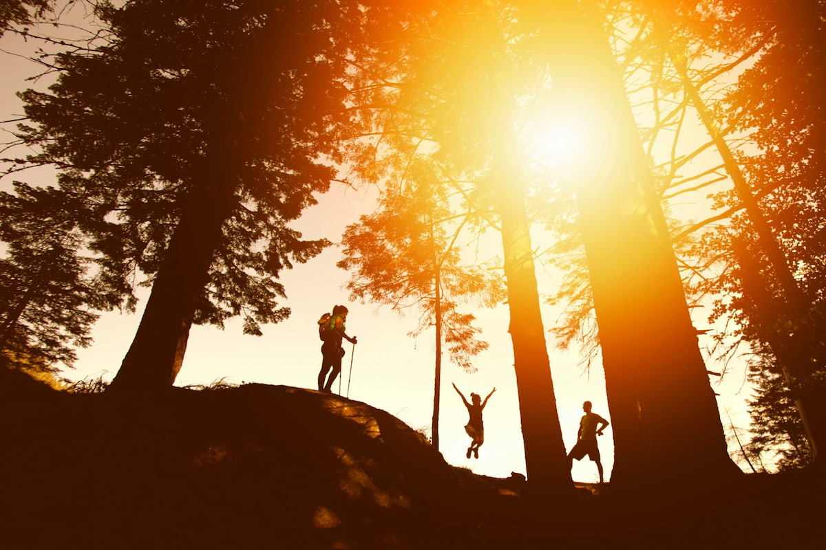 Three people hiking through a forest with the sun shining through the trees.